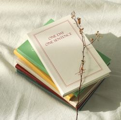 One Day One Sentence Diary  