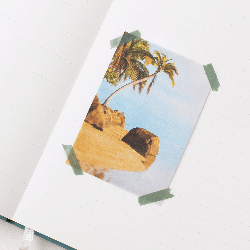 Nature Stickers_Rainbow light