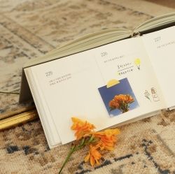 Monologue Question Diary 365