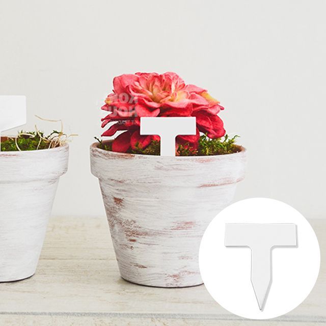 Plant Name Tag, 3.5X4.3cm, 100ea