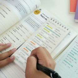 THE MEMO WorkBook Vocabulary 