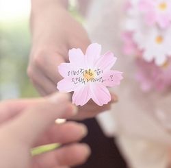 Sticky Leaf_Cosmos(white)