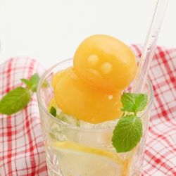 Romane Siicone Ice Mold