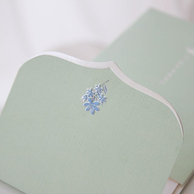 꽃단아 축하봉투 그린