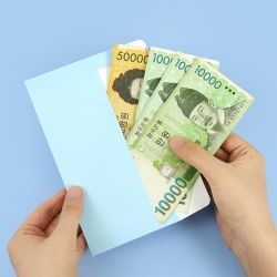 The Whale Envelope 95pcs Set