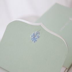 Celebration Envelopes Green