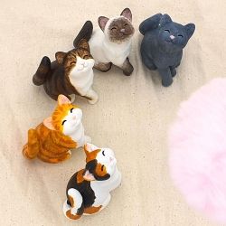 My Little Kitty DIY Kit (Random)