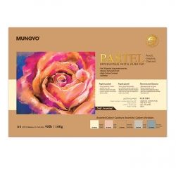 Professional Pastel Paper Pad, A3 Size 