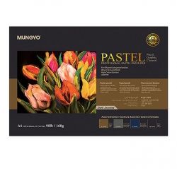 Professional Pastel Paper Pad, A3 Size 