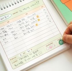 Study Planner for an elementarian (higher grade,3months)