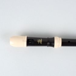 Soprano Recorder ESRG-100D