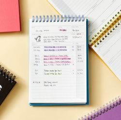 100 Days Daily Planner ver.2