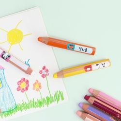 Elementary School 'My Dream' Name Stickers with Protecting Films 4Sheets Pack 