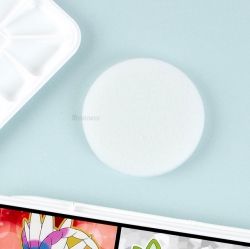 Pokemon Round Palette With Sponge