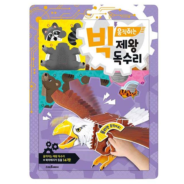 Big Moving Bald Eagle