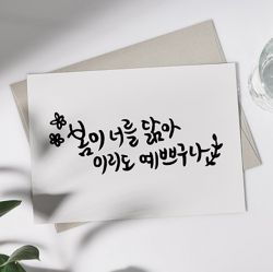 Mungyo Calligraphy Marker, Set of 12