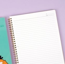 Pokemon B5 Clear PP note