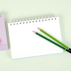 Opachu Usagi A5 Drawing Book