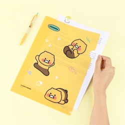 Choonsik L-Holder, 10pcs 1set