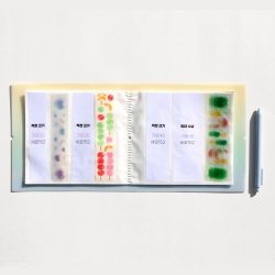 Deco Pocket Kisscut File 