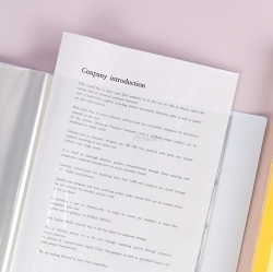 Sanrio Characters 40P Clear File