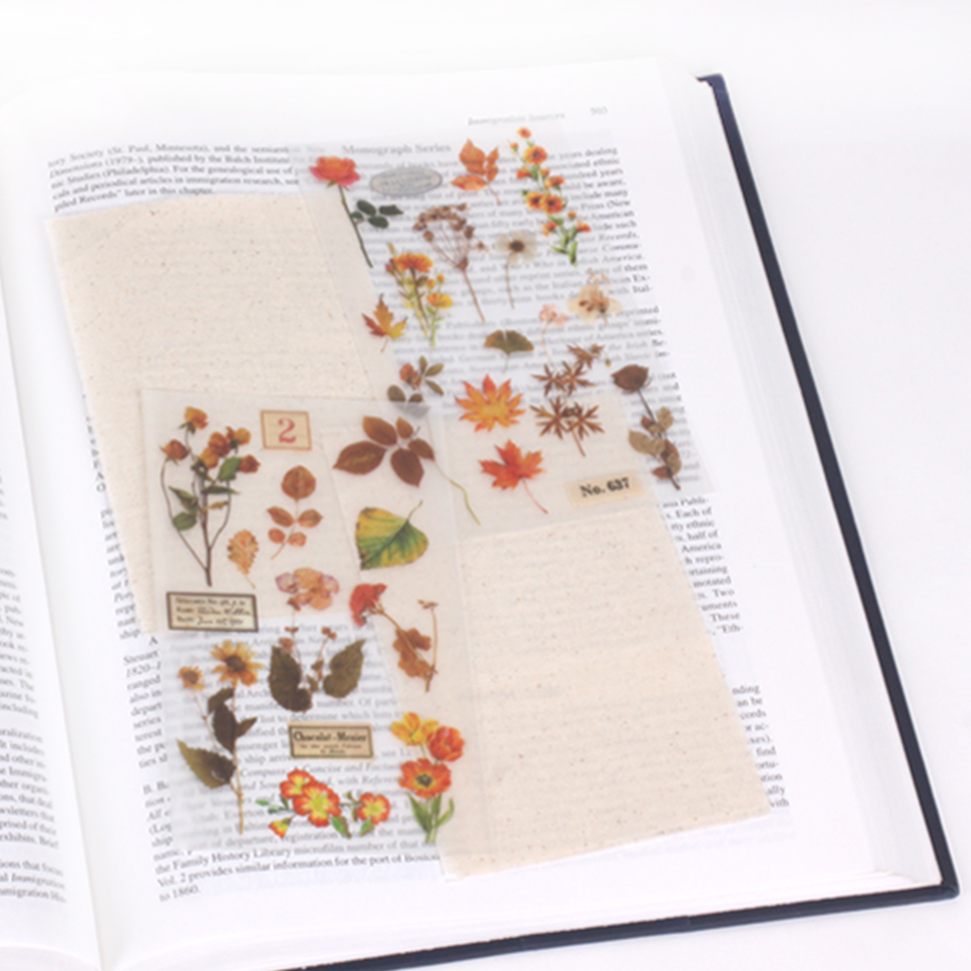 Rub-on Sticker_Botanical Orange