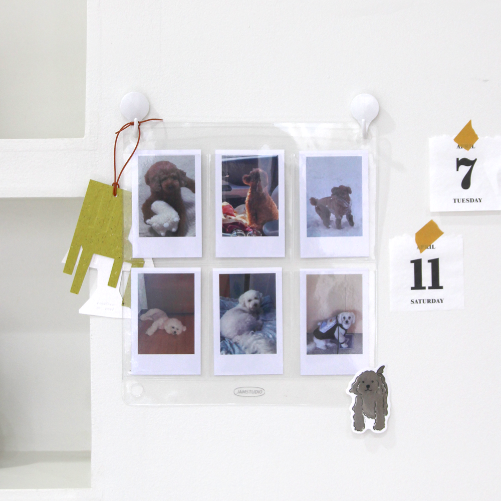 Window Seal Photo Card 6 Pockets 