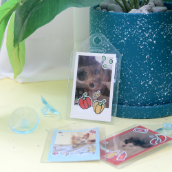 Window Photo Card 1 Pocket 