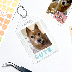 Window Photo Card 1 Pocket 