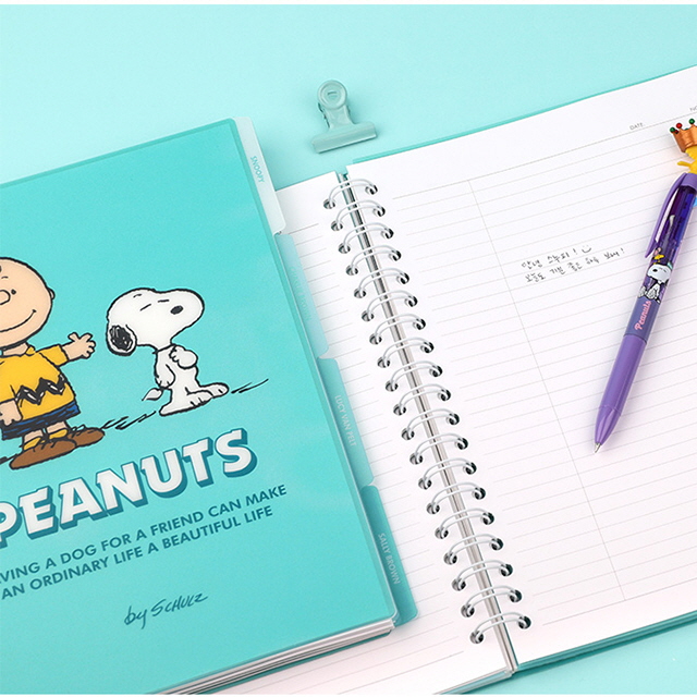 Peanuts Index Note L