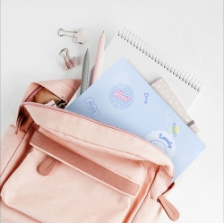 Pastel Character Clear File A4 40pcs,Random