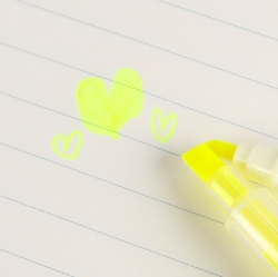 POKEMON twin highlighter 5colors