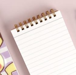 Pokemon Clear PP Notebook