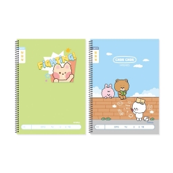 Slim School Notices Notebook, Wide Ruled, 10 pack 