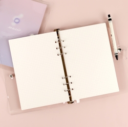 A5 6-Ring Diary Grid