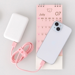 Brunch Brother Charging Cable 20W A to C Type