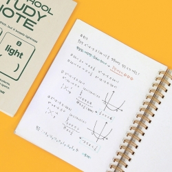 TENSCHOOL STUDY NOTE (300 PAGES)