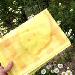 Molang Mini Picnic Matt 1-2p