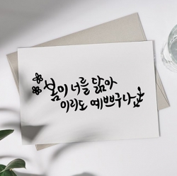 Mungyo Calligraphy Marker