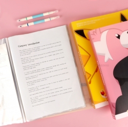 POKEMON Clear File 40page