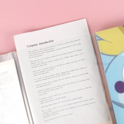 POKEMON Clear File 40page