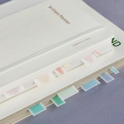 Index Highlighter Sticky Flag - Short Blur