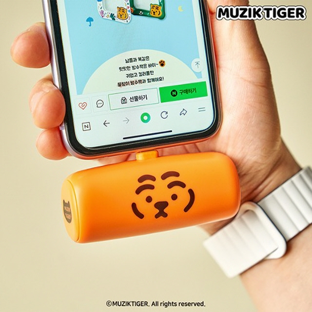 무직타이거 뚱랑이 도킹형 핸드폰 보조배터리 5000mAh