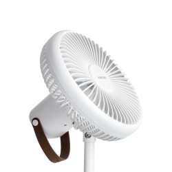 ROYCHE Desk Fan