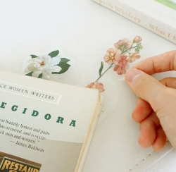 Flower Road Digression Bookmark All Set