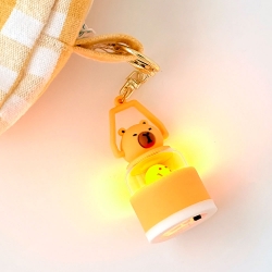 Mini Light key ring, Random