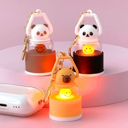 Mini Light key ring, Random