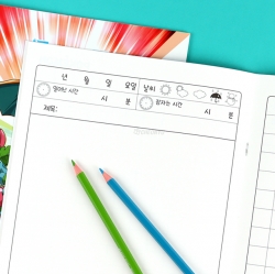 POKEMON Picture Diary, Random