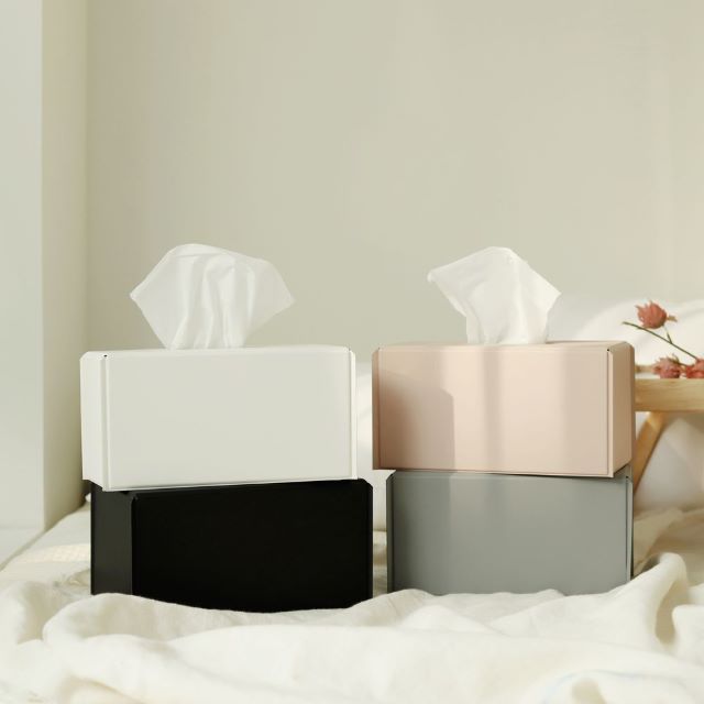 Tissue Case(L)