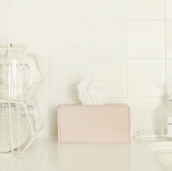 Tissue Case(L)